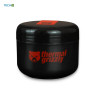 Thermal Grizzly Putty プロ 100g